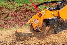 Best Pest Control for Lawns  in Willows, CA